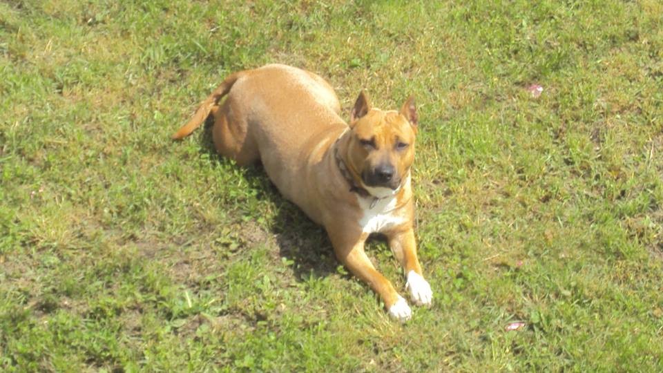 Brak veza druzenje brak veza druzenje